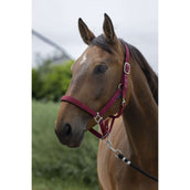 Norton Halfter Satine Burgunderrot Norton Halfter Satine Burgunderrot