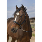 EQUITHÈME Halfter Strass Nylon Schwarz EQUITHÈME Halfter Strass Nylon Schwarz