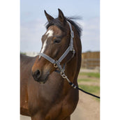 EQUITHÈME Halfter Light Nylon Grau EQUITHÈME Halfter Light Nylon Grau