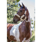 Norton Halfter Vollständig Kunstschaffell Ecru/Navy Norton Halfter Vollständig Kunstschaffell Ecru/Navy