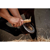 Grooming Deluxe by Kentucky Hufkratzer Grooming Deluxe by Kentucky Hufkratzer