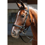 Harry's Horse Trense und Halfter Schwarz Harry's Horse Trense und Halfter Schwarz