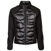 Harry's Horse Softshelljacke Liciano Padded Schwarz Harry's Horse Softshelljacke Liciano Padded Schwarz