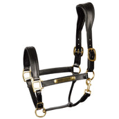 Harry's Horse Halfter Schwarz Harry's Horse Halfter Schwarz