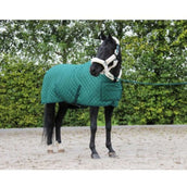 HB Showtime Showdecke Desire160gr Forest-Green HB Showtime Showdecke Desire160gr Forest-Green