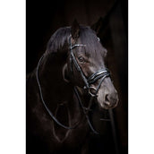 HB Trense Showtime Evalira Blau/Schwarz HB Trense Showtime Evalira Blau/Schwarz