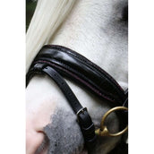 HB Zaum Special Schwarz/Burgund HB Zaum Special Schwarz/Burgund