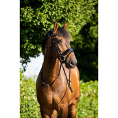 HB Showtime Trense Sweet Dreams Schwarz/Burgund HB Showtime Trense Sweet Dreams Schwarz/Burgund