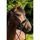 HB Showtime Trense Sweet Dreams Schwarz/Burgund HB Showtime Trense Sweet Dreams Schwarz/Burgund