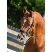 HB Showtime Trense Armani Schwarz HB Showtime Trense Armani Schwarz