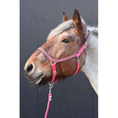 HB Halfter Diamonds Collection Fuchsia HB Halfter Diamonds Collection Fuchsia