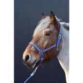 HB Halfter Diamonds Collection Royal Blue HB Halfter Diamonds Collection Royal Blue