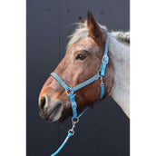 HB Halfter Diamonds Collection Türkis HB Halfter Diamonds Collection Türkis