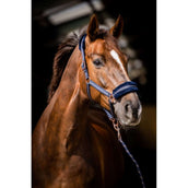 HB Halfter Europe Rose Navy HB Halfter Europe Rose Navy