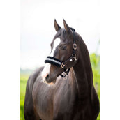 HB Halfter Zebra Schwarz/Weiß HB Halfter Zebra Schwarz/Weiß