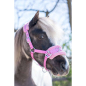 HB Halfter Nylon Kappzaum Rosa HB Halfter Nylon Kappzaum Rosa