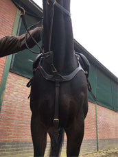 Harry's Horse Vorderzeug Deluxe Braun Harry's Horse Vorderzeug Deluxe Braun