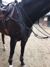 Harry's Horse Vorderzeug Deluxe Braun Harry's Horse Vorderzeug Deluxe Braun