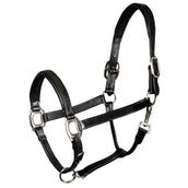 Harry's Horse Lederhalfter gepolstert Schwarz Harry's Horse Lederhalfter gepolstert Schwarz