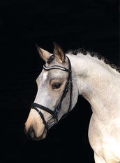 HKM Trense Little Star Schwarz HKM Trense Little Star Schwarz