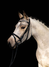 HKM Trense Little Star Schwarz HKM Trense Little Star Schwarz