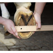 HKM Hufschuh Schwarz HKM Hufschuh Schwarz