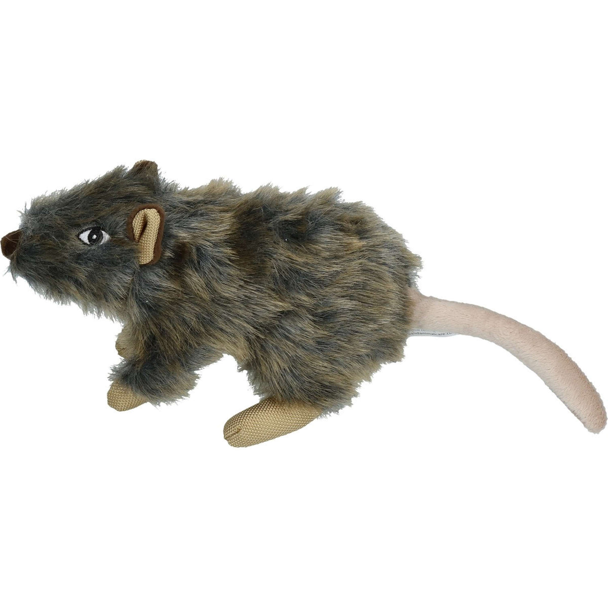 Wild Life Ratte