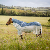 Amigo 3 in 1 AmECO Combi Teal/Grau Amigo 3 in 1 AmECO Combi Teal/Grau