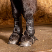 Harry's Horse Sehnenschutz Pinlock Schwarz Harry's Horse Sehnenschutz Pinlock Schwarz
