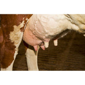 Kerbl Zitzenbandage Udderosoft Kerbl Zitzenbandage Udderosoft