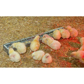 Kerbl Futtertrog verzinkt für Hennen Metall Kerbl Futtertrog verzinkt für Hennen Metall