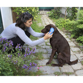 Magic Brush Bürste Hund Blauer Himmel Magic Brush Bürste Hund Blauer Himmel