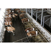 Kerbl Internet Kamera IPCam 360 FHD 1080p Schwarz Kerbl Internet Kamera IPCam 360 FHD 1080p Schwarz