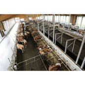 Kerbl Internet Kamera IPCam 360 FHD 1080p Schwarz Kerbl Internet Kamera IPCam 360 FHD 1080p Schwarz