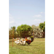 Ako Geflügelnetz Doppelspitze elektrisch Orange Ako Geflügelnetz Doppelspitze elektrisch Orange