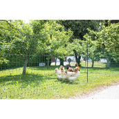 Ako Geflügelnetz Einzelspitze Grün Ako Geflügelnetz Einzelspitze Grün