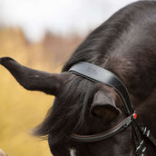 Kieffer Trense Vera Schwarz/Braun Kieffer Trense Vera Schwarz/Braun