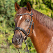 Kieffer Trense Ultrasoft Economy II Schwarz Kieffer Trense Ultrasoft Economy II Schwarz