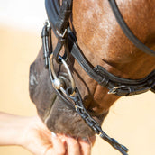 Kieffer Trense Ultrasoft Economy II Schwarz Kieffer Trense Ultrasoft Economy II Schwarz