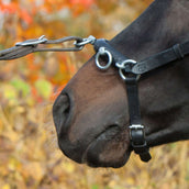 Kieffer Kapzaum Perfect Schwarz Kieffer Kapzaum Perfect Schwarz