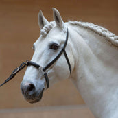 Kieffer Kapzaum Anja Beran Schwarz Kieffer Kapzaum Anja Beran Schwarz