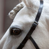 Kieffer Kapzaum Anja Beran Schwarz Kieffer Kapzaum Anja Beran Schwarz