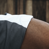 Kentucky Magnetic Rug Recuptex Kentucky Magnetic Rug Recuptex