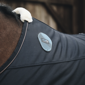 Kentucky Magnetic Rug Recuptex Kentucky Magnetic Rug Recuptex