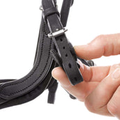 Kavalkade Zaum Caliano Schwarz/Silber Kavalkade Zaum Caliano Schwarz/Silber