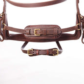 Kavalkade Zaum Caliano Braun/Messing Kavalkade Zaum Caliano Braun/Messing