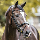 Kavalkade Trense Ivana Englisch Schwarz Kavalkade Trense Ivana Englisch Schwarz