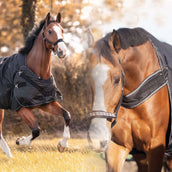 Kavalkade Turnout / Führanlagendecke Halifax 2in1 50g Schwarz Kavalkade Turnout / Führanlagendecke Halifax 2in1 50g Schwarz