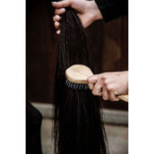 Kentucky Mähnebürste Kentucky Mähnebürste