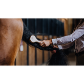 Kentucky Mähnebürste Kentucky Mähnebürste